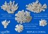 REPLICA CORAL - MONTAGE