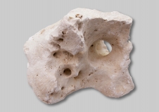 OCEAN ROCK